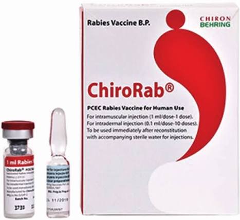 Chirorab Vaccine